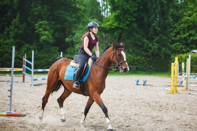 Tierleben- und Operationskosten-Versicherung für Pferde