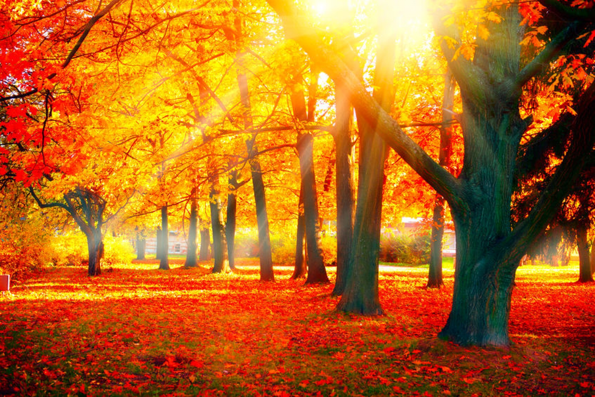 Der Herbst und seine Tücken